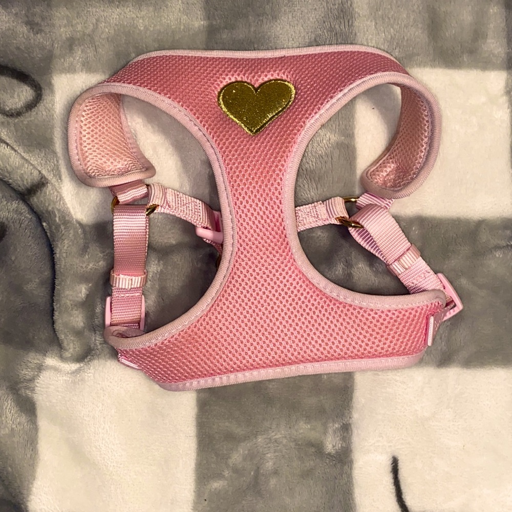 💗Top paw harness💗